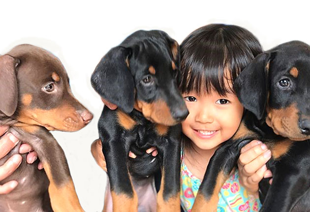 女の子と子犬の写真